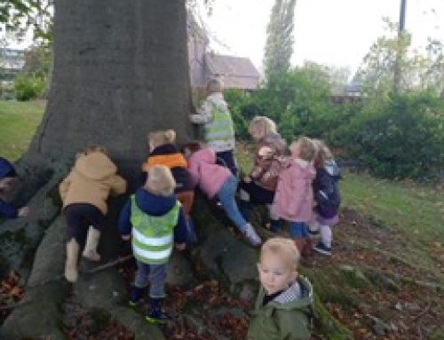 WAt een grote dikke boom!!!!  Herfstwandeling.