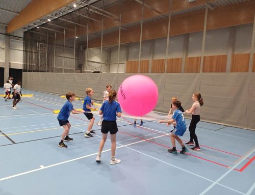 American games voor de kinderen van het vijfde leerjaar