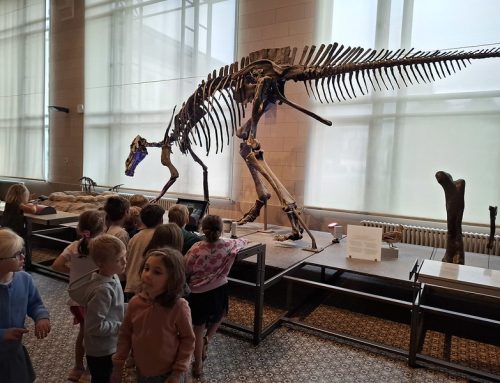 Onze kleuters naar het dinomuseum